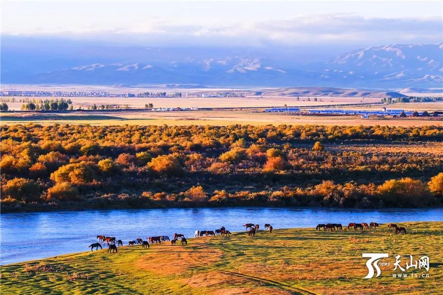 新疆之行，心之所向的深度感悟