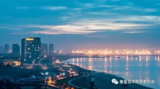 秦皇岛巷弄里的清新秘境——探寻秦皇岛特色小店